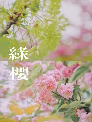 -玄武湖景区-情侣园游乐场