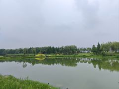 -洋湖国家湿地公园