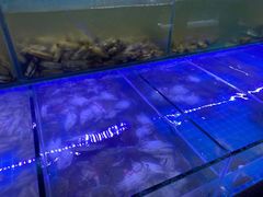 -海韵之星邮轮水会(明发商业广场店)