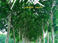 -河南省黄河迎宾馆