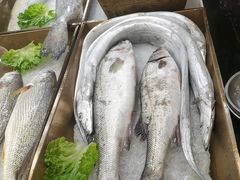 -鹰龙海畔度假酒店(咸祥店)