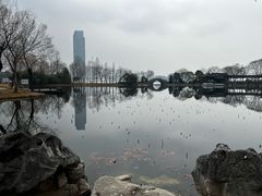 -高子水居