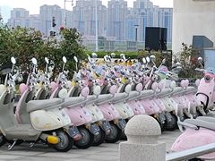 -养马岛旅游度假区