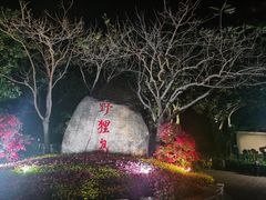 -野狸岛