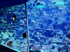 -香港海洋公园