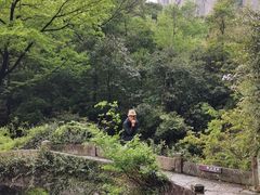 -雁荡山风景名胜区