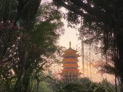 -厦门园林博览苑