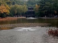 -西安市长乐公园