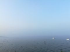 景点-鸽子窝公园