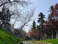 -宜兴龙背山森林公园