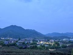 -龙坞茶村