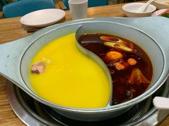 -青瓷火锅料理(西单大悦城店)