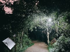 -杭州半山国家森林公园