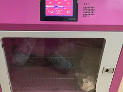 -宠颐生贝利健动物医院(谢家湾分院)