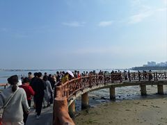 -霞山观海长廊