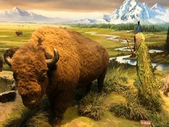 -陕西自然博物馆