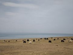 -青海湖国家重点风景名胜区