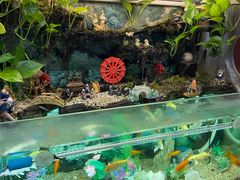 -旺角宝港式茶餐厅(寮步店)