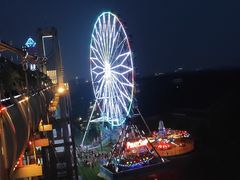 -花博汇(知音花月夜)
