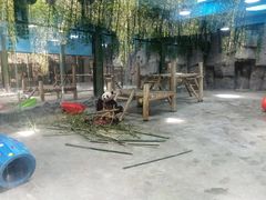 -栾川竹海野生动物园
