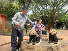 -深圳野生动物园