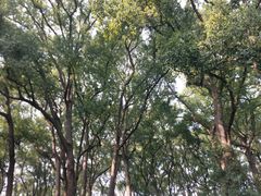 -忠山公园