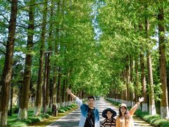 -黄海国家森林公园