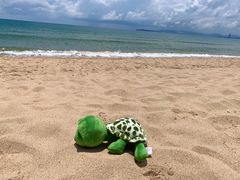 -三亚海棠湾万丽度假酒店