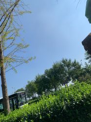 -HEYAN长风荷妍专业脱毛美肤
