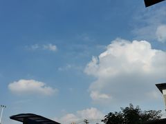 -空港花田景区