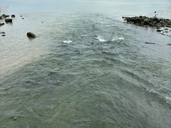 -深圳湾公园(南山区)