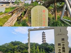 -江心屿景区