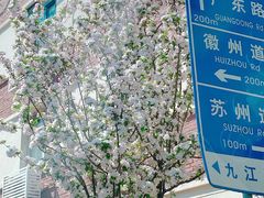 -砂锅李(九江路店)