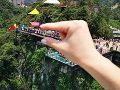 -梦幻奥陶纪景区