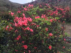 -广东天露山旅游度假区