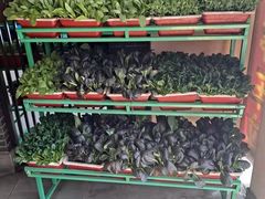 有机蔬菜-東城故事·尋找姆媽的味道(玉兰路店)
