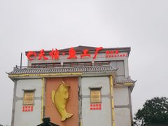 -天怡·鱼工厂(临江店)
