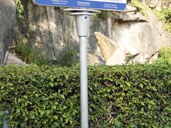 -厦门海港英迪格酒店(中山路店)