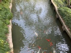 -上海瑞金洲际酒店