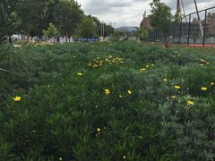 -云南艺术学院(呈贡校区)