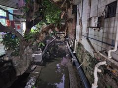 -小洲村