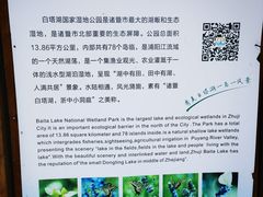-白塔湖国家湿地公园