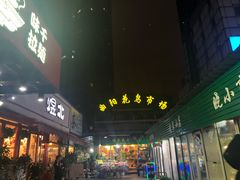 -曲阳花鸟市场(曲阳路店)