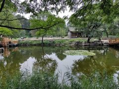 -承德避暑山庄景区