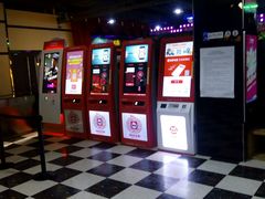 -华美国际影城(旧宫永辉店)