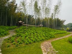 -宜兴龙背山森林公园