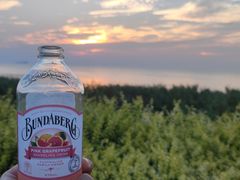 -七的湖·晚芳亭·阳澄湖农家菜·大闸蟹(莲花岛店)