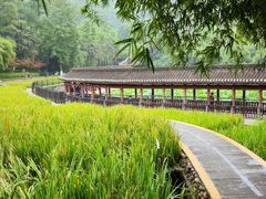 -龙头寺公园