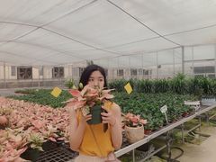 -云幽谷旅游区