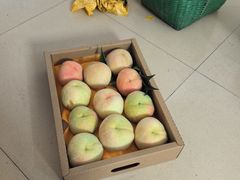 -老袁家蜜桃农场·阳山水蜜桃